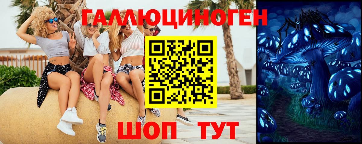 Галлюциногенные грибы MAGIC MUSHROOMS  Галлюциногенные грибы Psilocybine cubensis  Вход с VPN  где купить наркоту  Аргун 