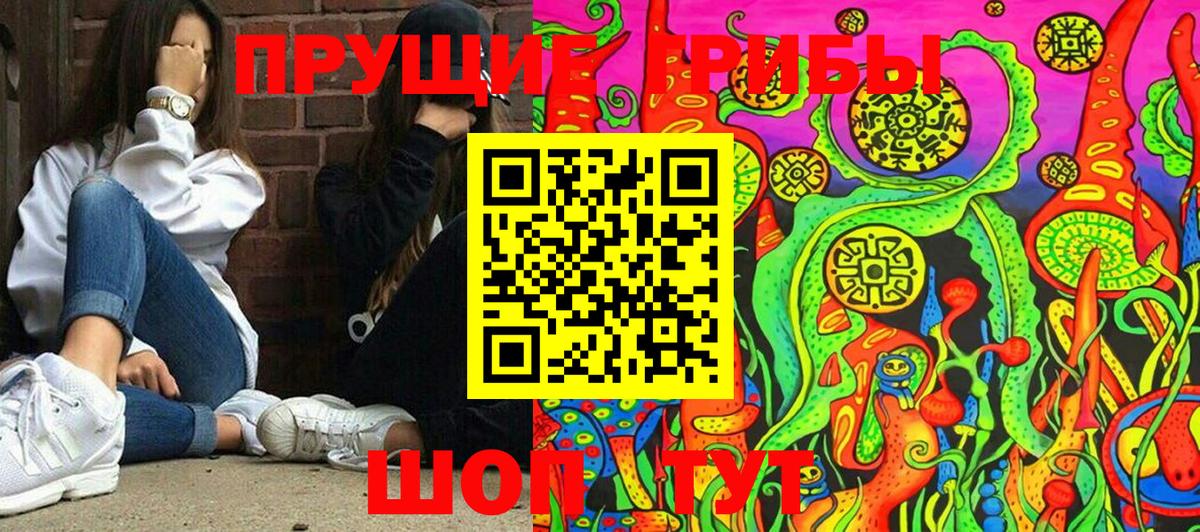 Псилоцибиновые грибы прущие грибы Аргун