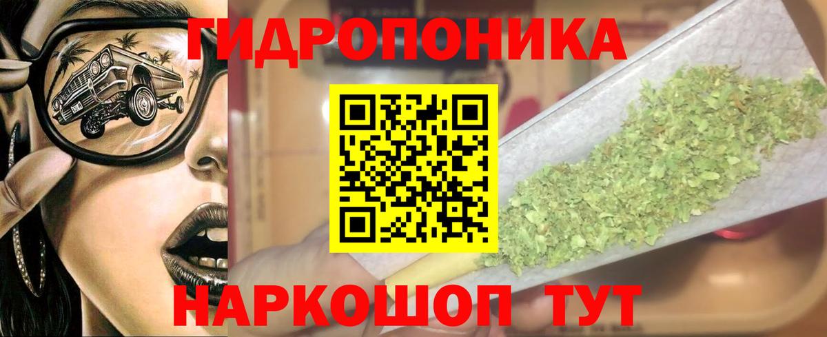 Канабис конопля Аргун